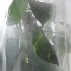Freeze Protection Non Woven Fabric Plant Cover