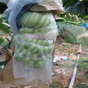 Biodegradable Protection Non Woven Banana Bunch Cover
