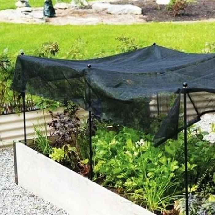 Tips for Non Woven Fabric Plant Cover 13 Non Woven Plant Cover 11