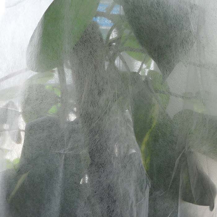 Tips for Non Woven Fabric Plant Cover 1 Non Woven Plant Cover 6